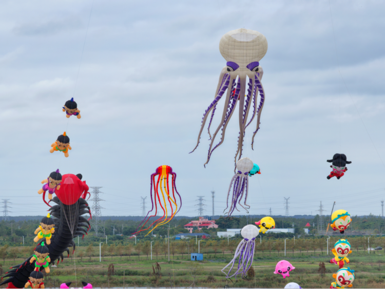 入新活力, 江苏如东